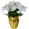 Northlight 17" Potted White Artificial Poinsettia Christmas Arrangement